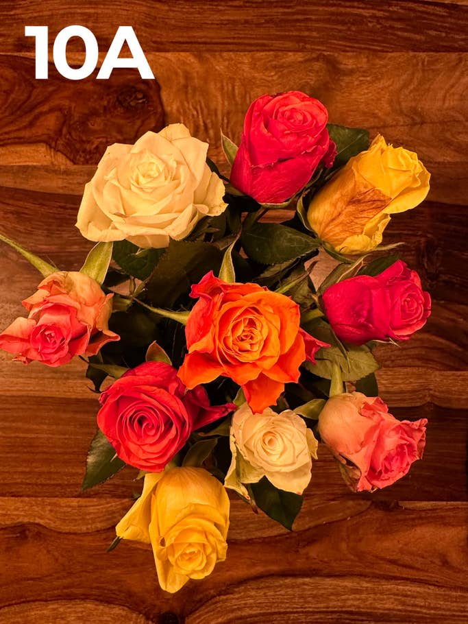 NextPit Blind test photo 2022