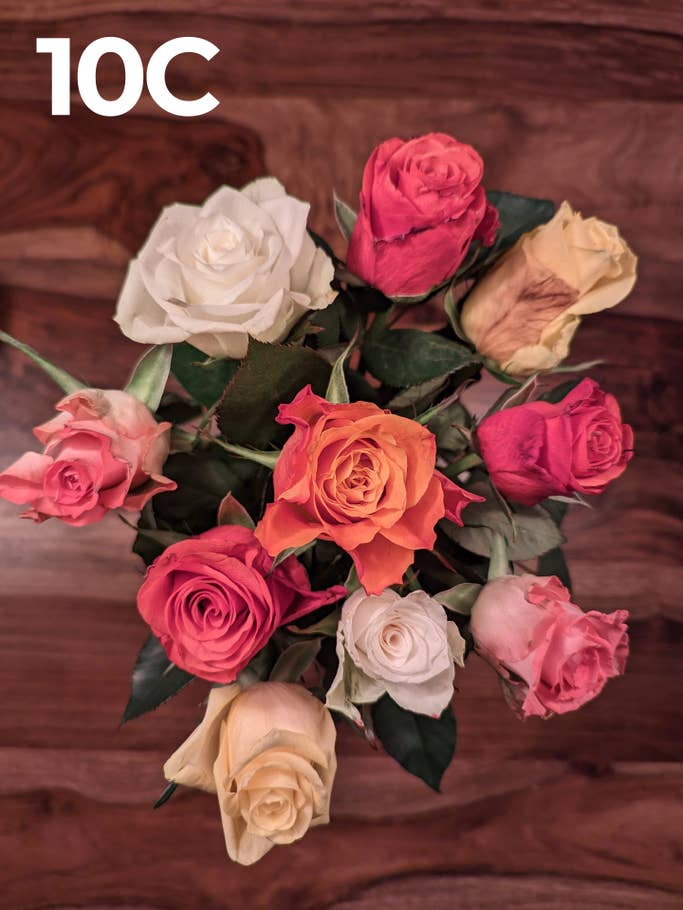 NextPit Blind test photo 2022