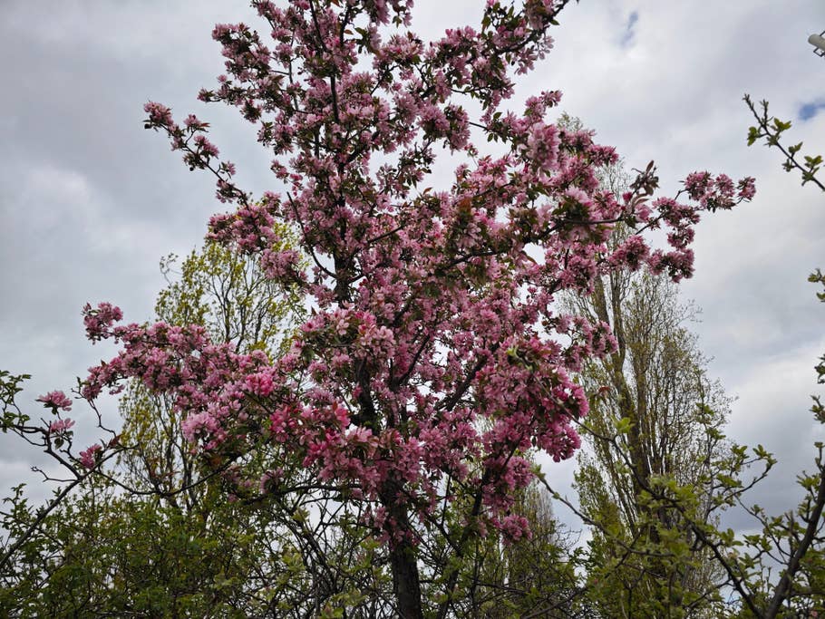 xiaomi-13-ultra-test-photo