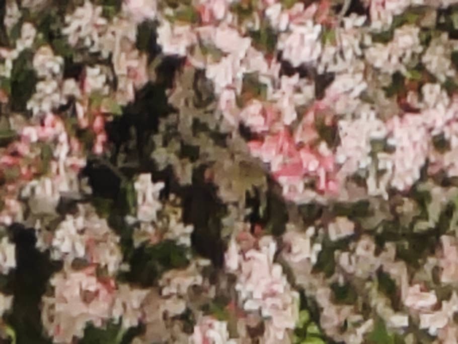 xiaomi-13-ultra-test-photo