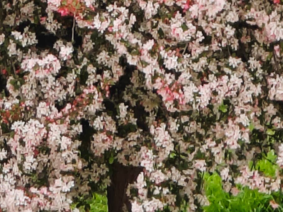 xiaomi-13-ultra-test-photo