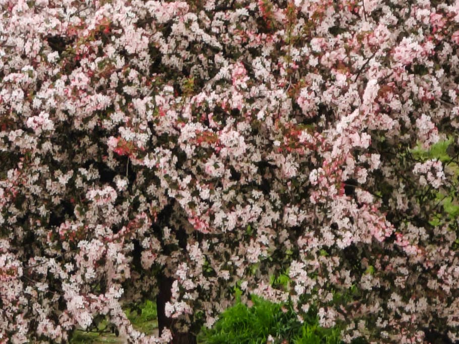 xiaomi-13-ultra-test-photo