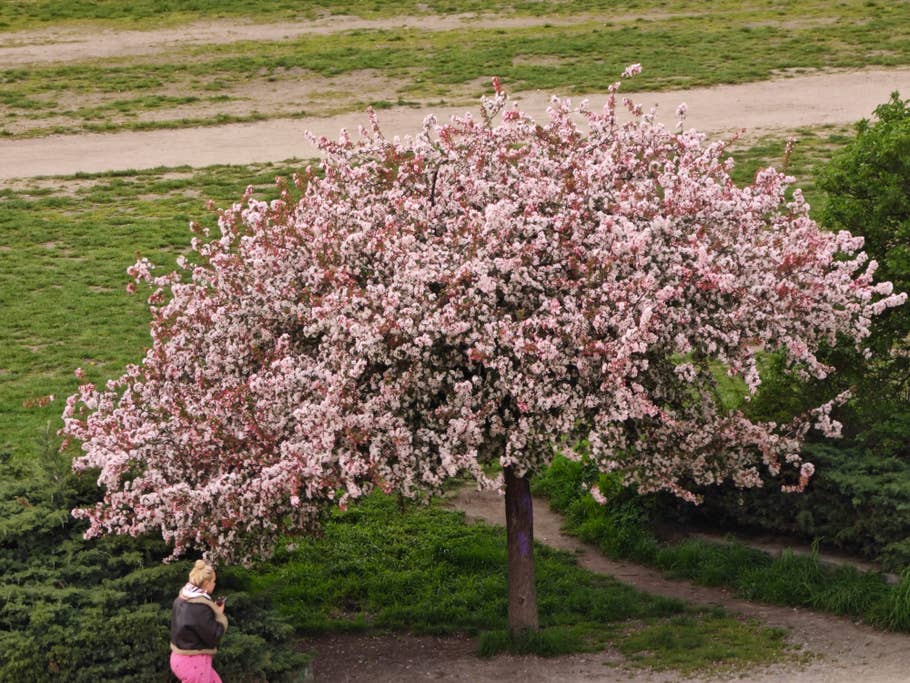 xiaomi-13-ultra-test-photo