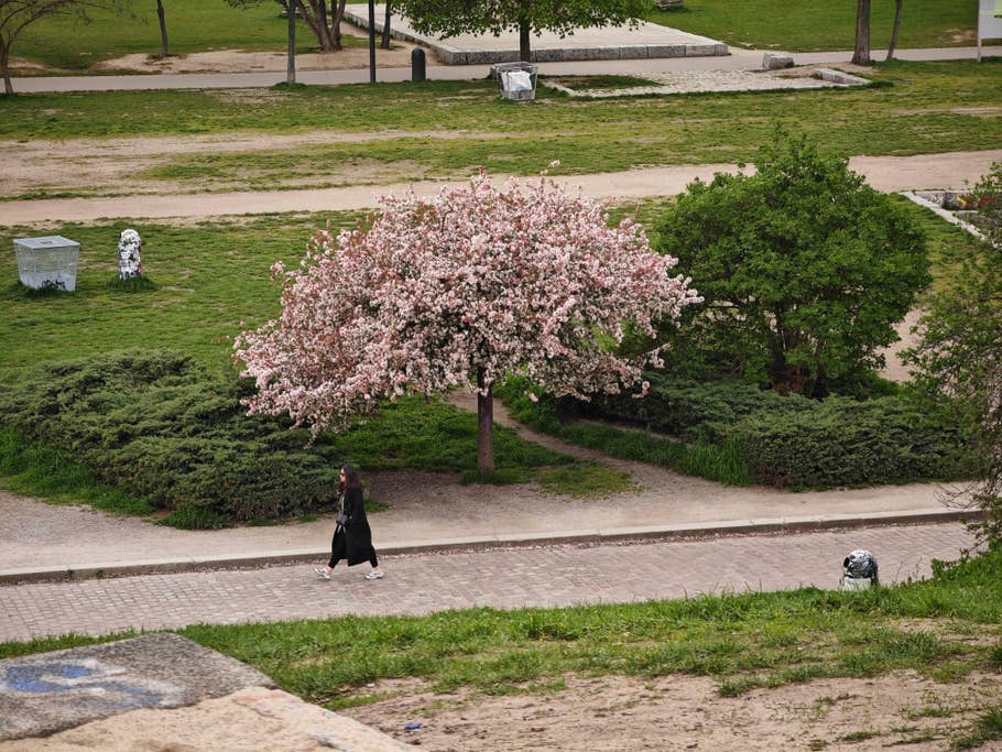 xiaomi-13-ultra-test-photo