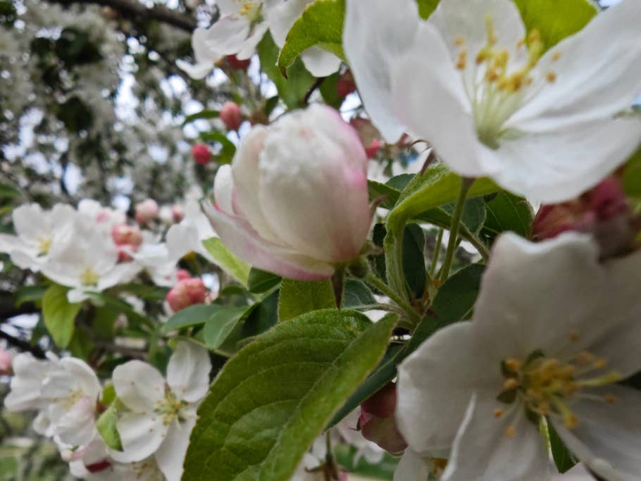 xiaomi-13-ultra-test-photo