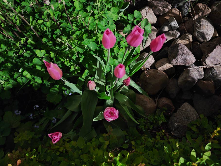 xiaomi-13-ultra-test-photo