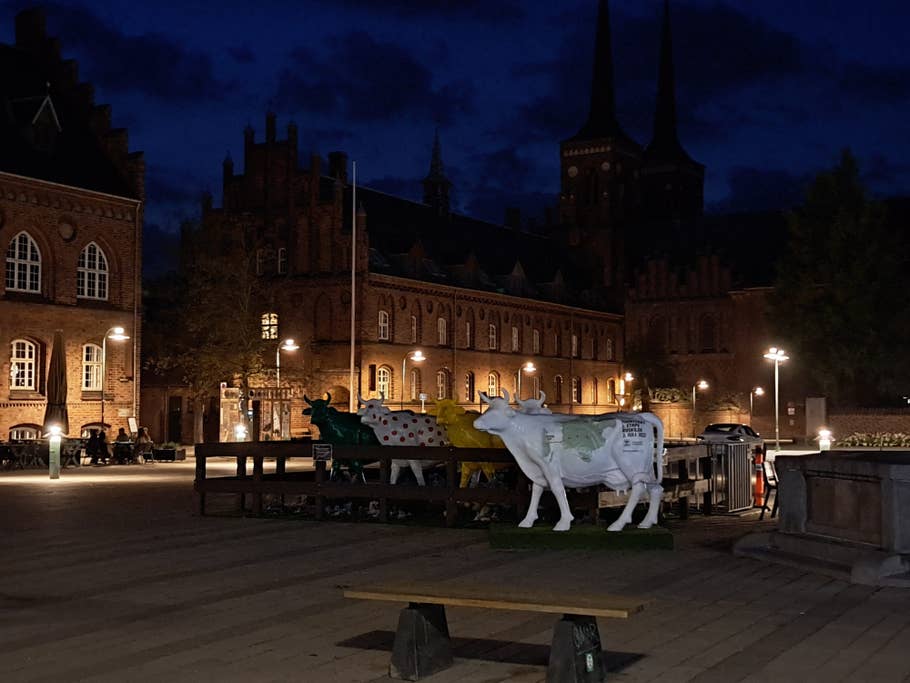 Caméra principale avec zoom x2 et mode nuit activé