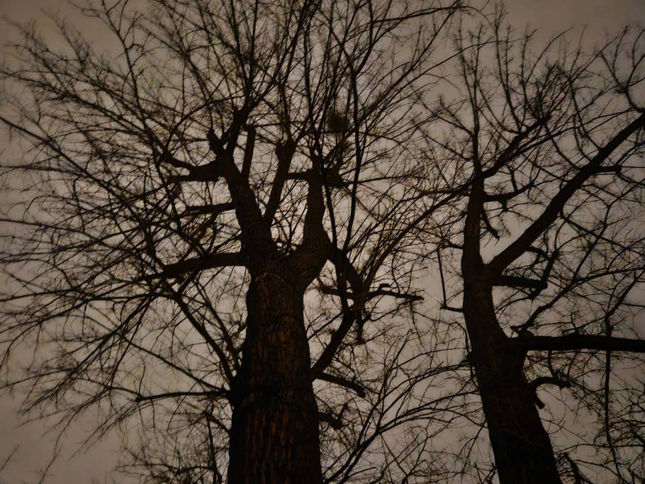 Samsung Galaxy S23 test photo