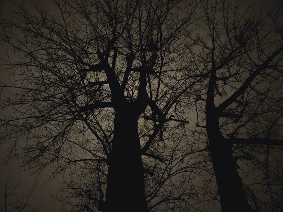 Samsung Galaxy S23 test photo