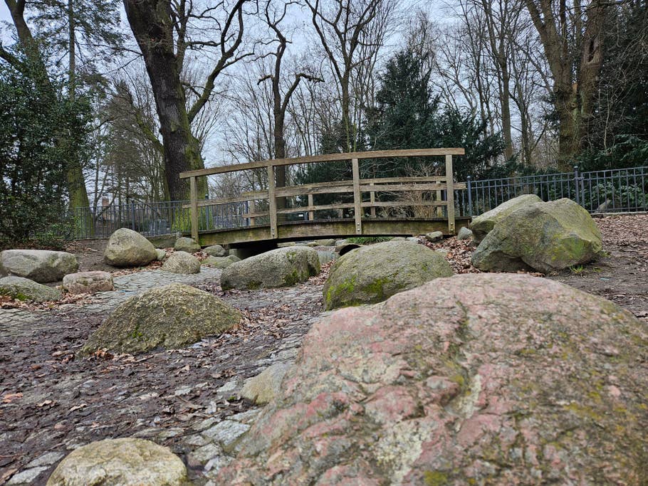 Samsung Galaxy S23 test photo