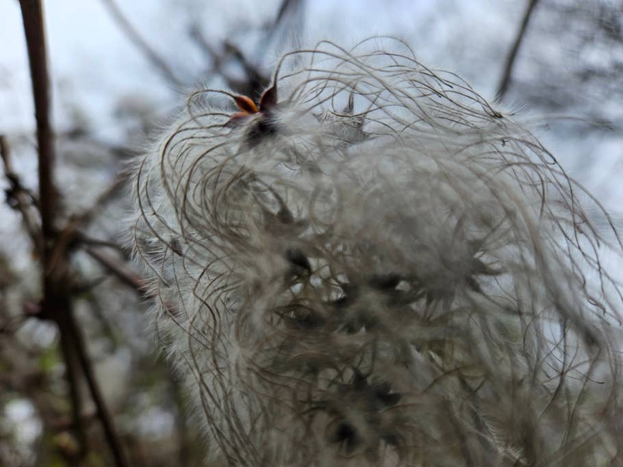 Samsung Galaxy S23 test photo