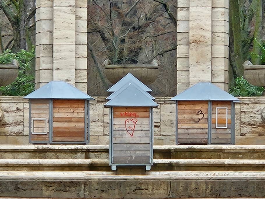 Samsung Galaxy S23 test photo