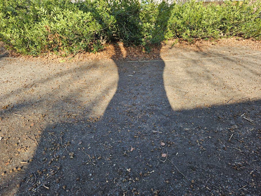 Samsung Galaxy S23 test photo