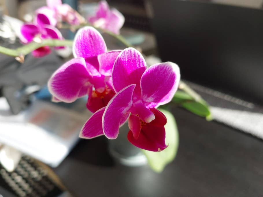 samsung-galaxy-xcover-6-pro-test-photo