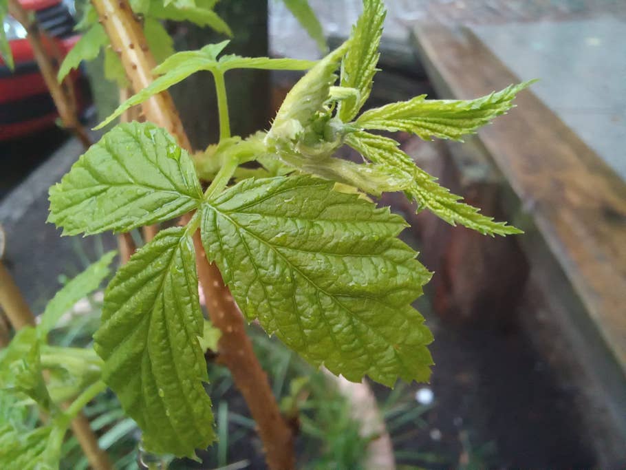 samsung-galaxy-a34-test-photo