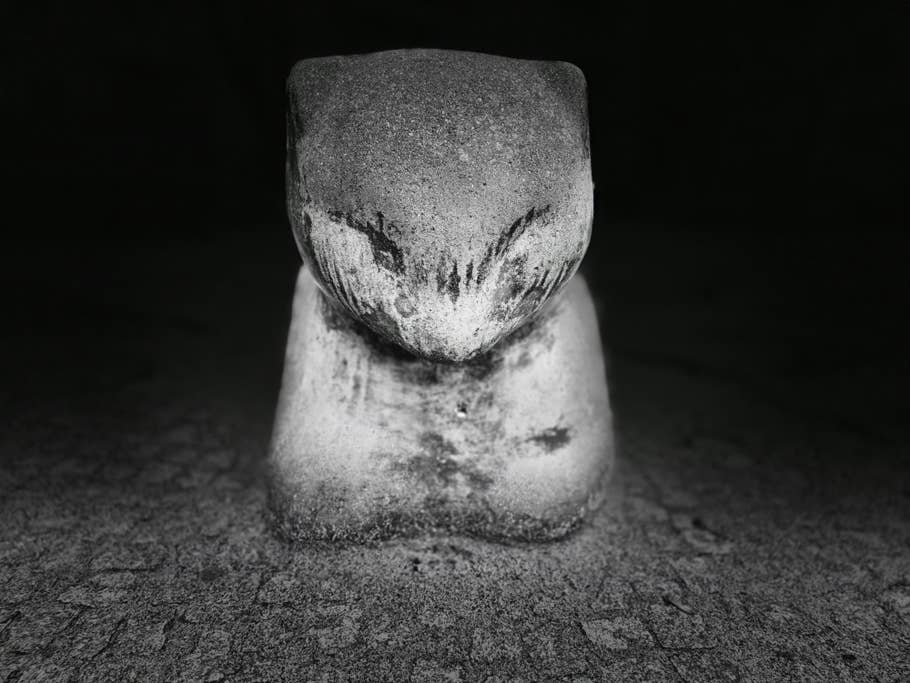 Samsung Galaxy S24 test photo