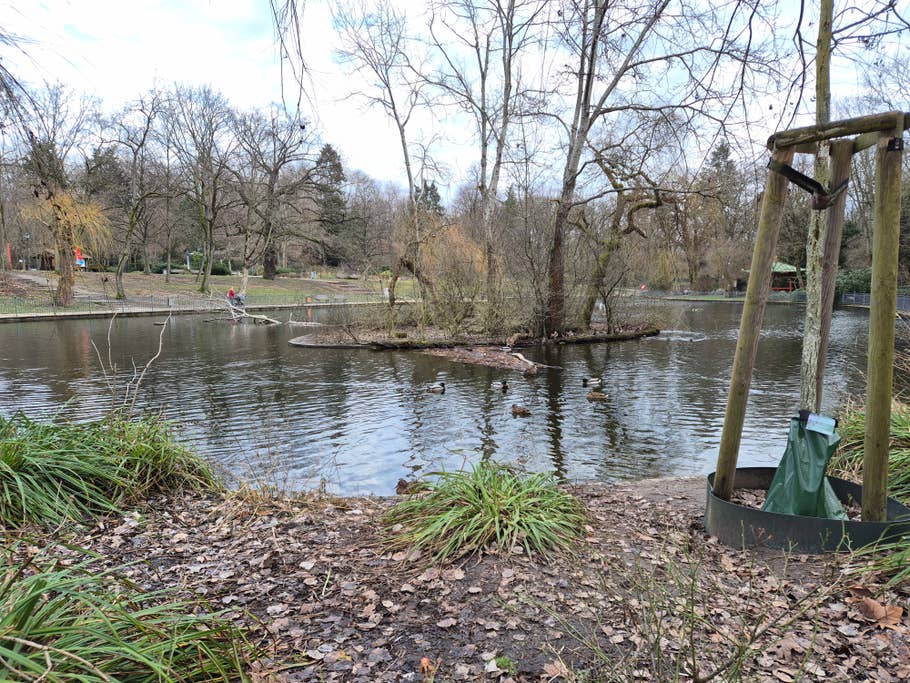 Samsung Galaxy S24 test photo