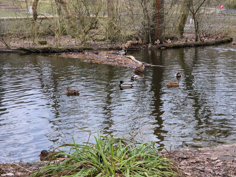 Samsung Galaxy S24 test photo