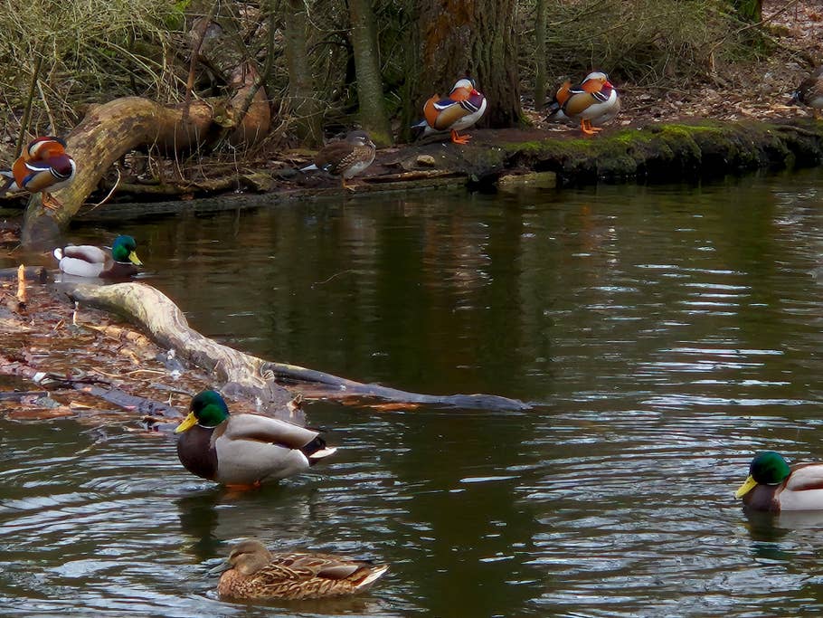 Samsung Galaxy S24 test photo