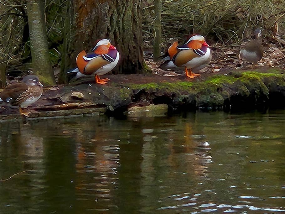 Samsung Galaxy S24 test photo