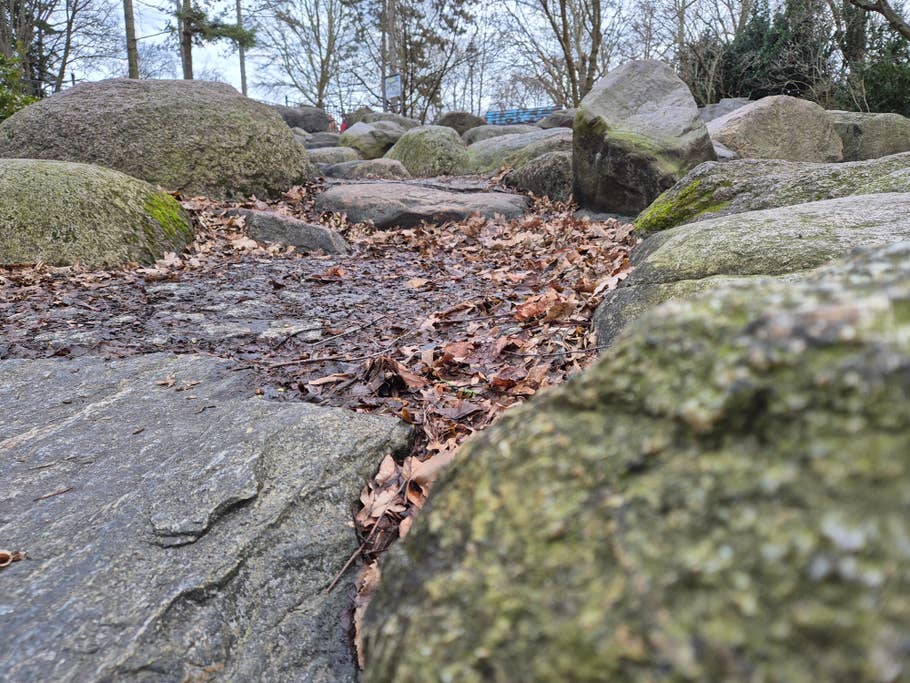 Samsung Galaxy S24 test photo