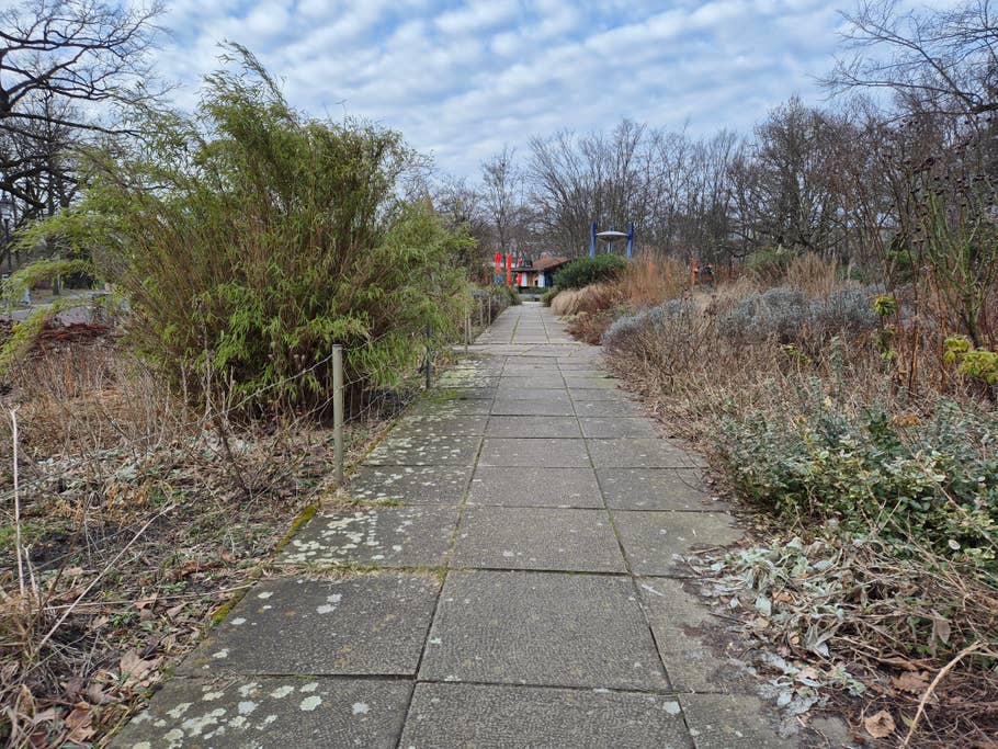 Samsung Galaxy S24 test photo