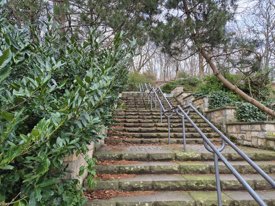 Samsung Galaxy S24 test photo