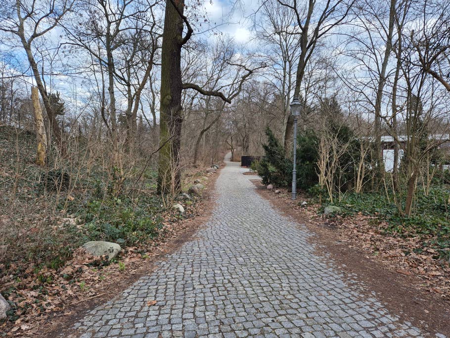 Samsung Galaxy S24 test photo