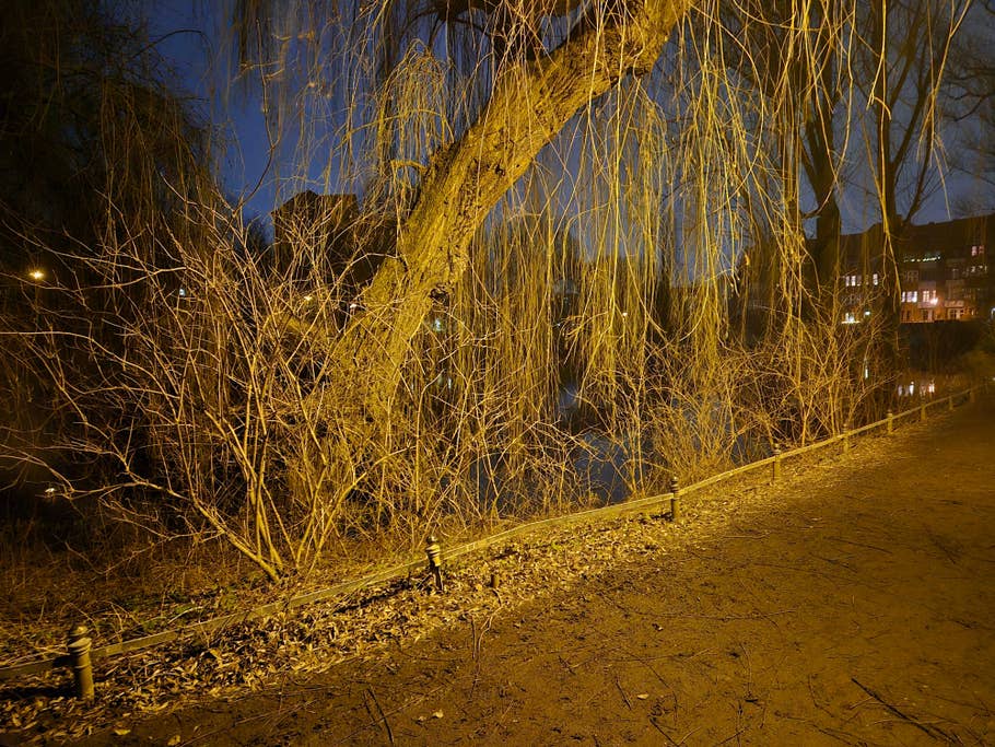 Samsung Galaxy S24 test photo