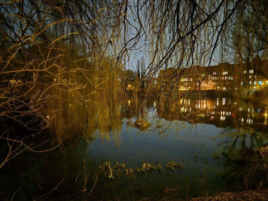 Samsung Galaxy S24 test photo