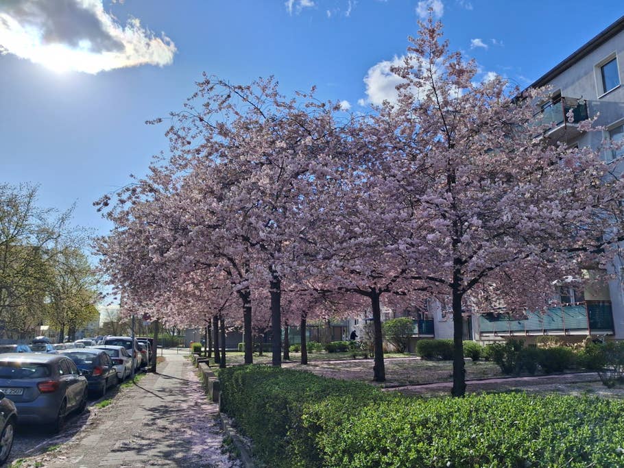 Samsung Galaxy A26: Objectif principal