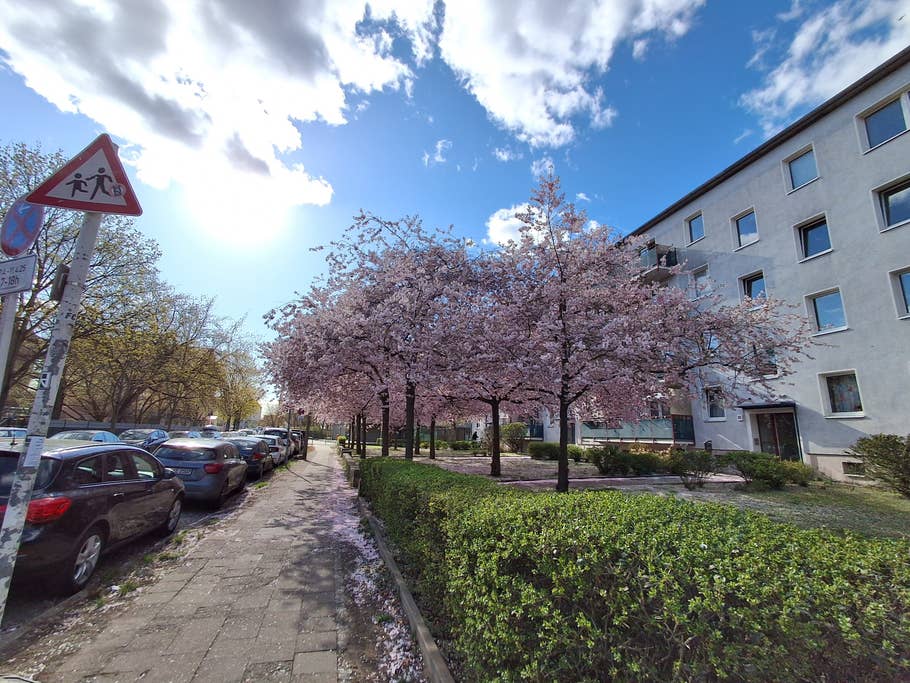 Samsung Galaxy A26: Objectif ultra-grand angle (0,5x)