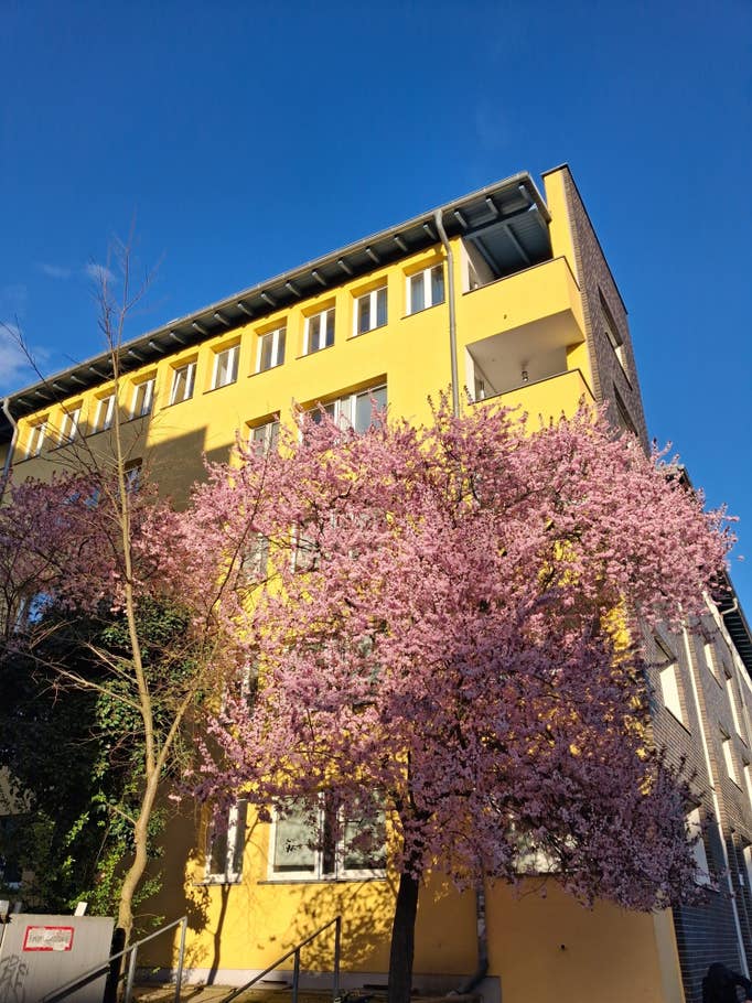 Samsung Galaxy A26: Objectif principal