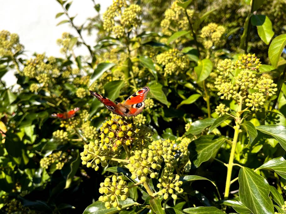 Test complet Apple iPhone 13