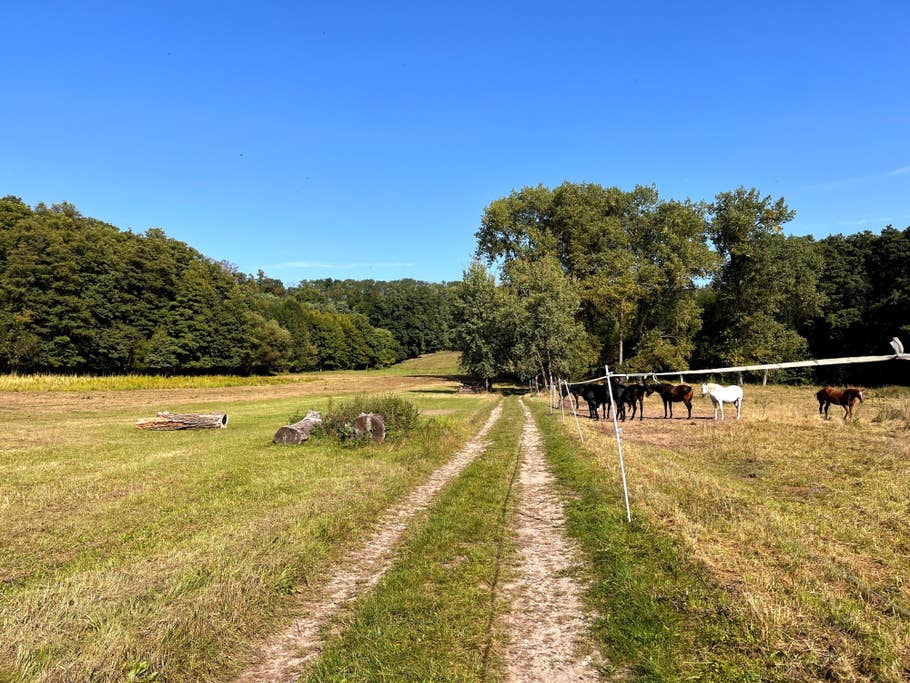 Test complet Apple iPhone 13