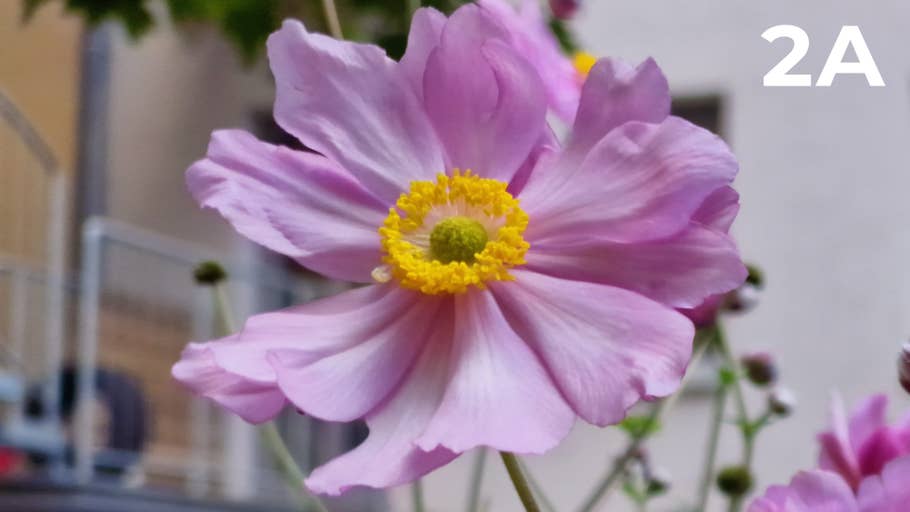 Blind test photo 200 MP