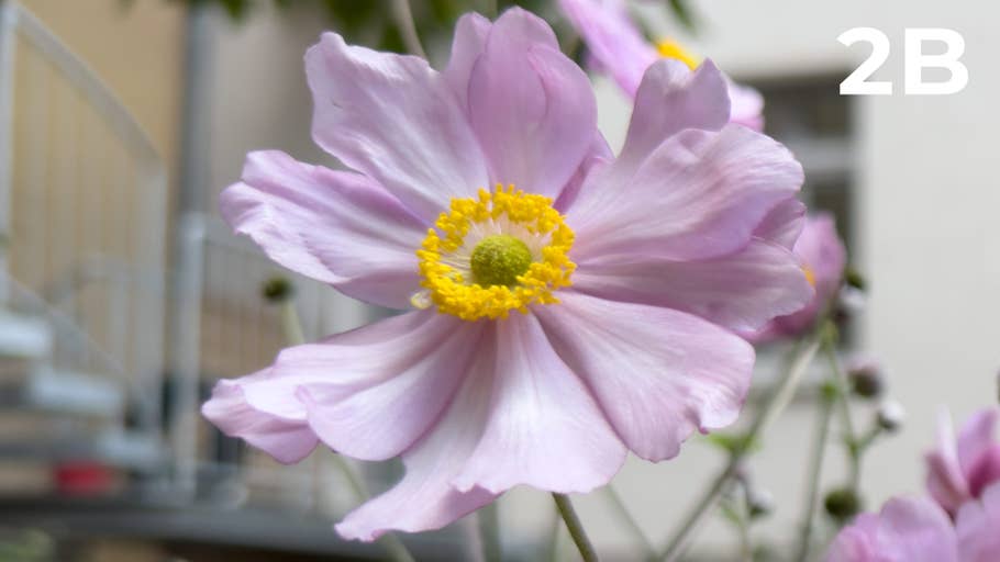 Blind test photo 200 MP