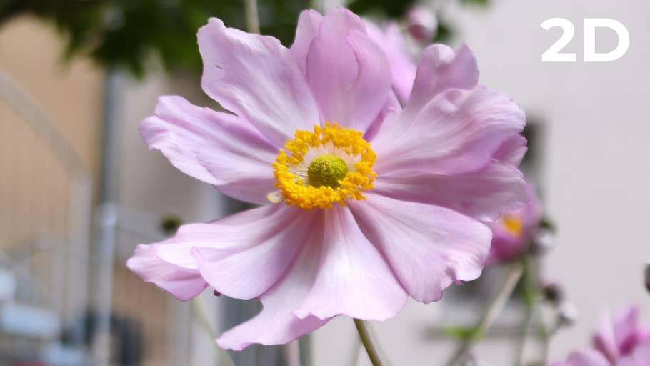 Blind test photo 200 MP