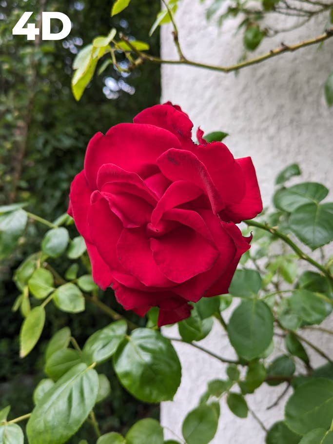 Blind test: Image 4D