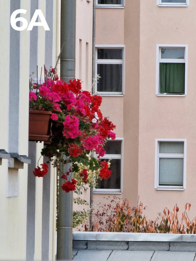 NextPit Blind test photo 2022