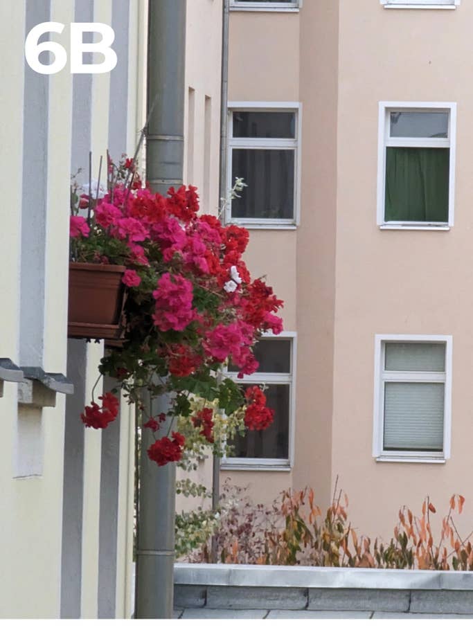 NextPit Blind test photo 2022