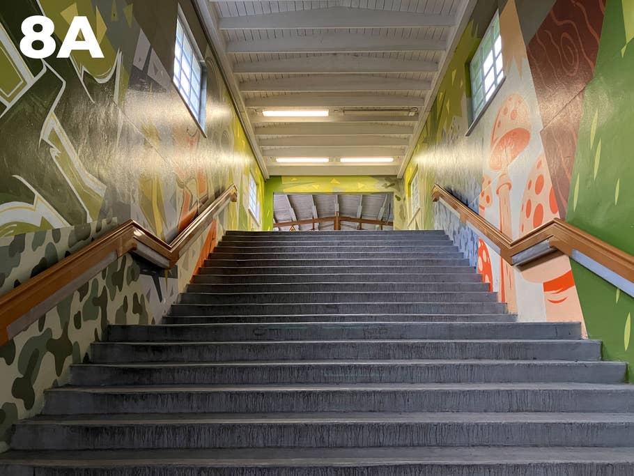 Blind test: Image 8A