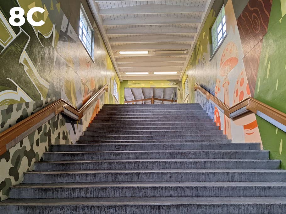 Blind test: Image 8C