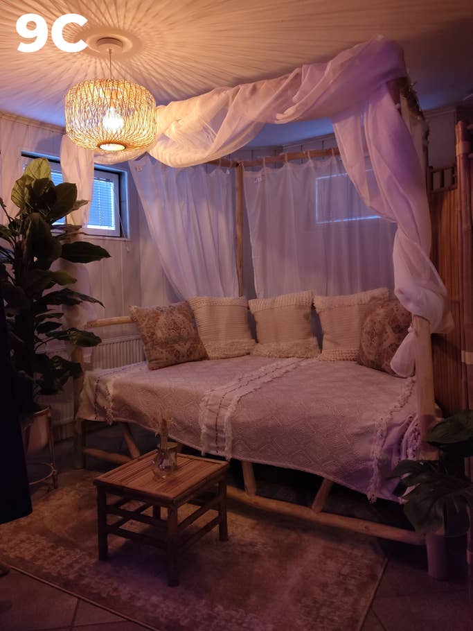 Blind test: Image 9C