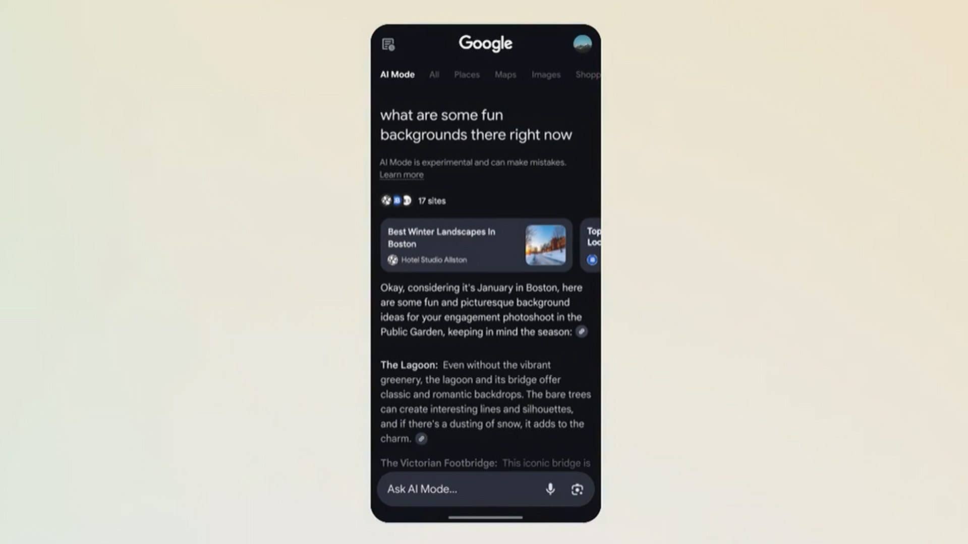 Interface de recherche Google affichant des idées de fonds amusants pour des séances photo à Boston.