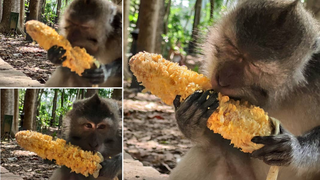 AndroidPIT xiaomi mi note 10 5x sharpness