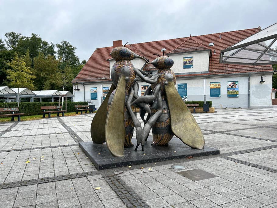 iPhone 14 test photo