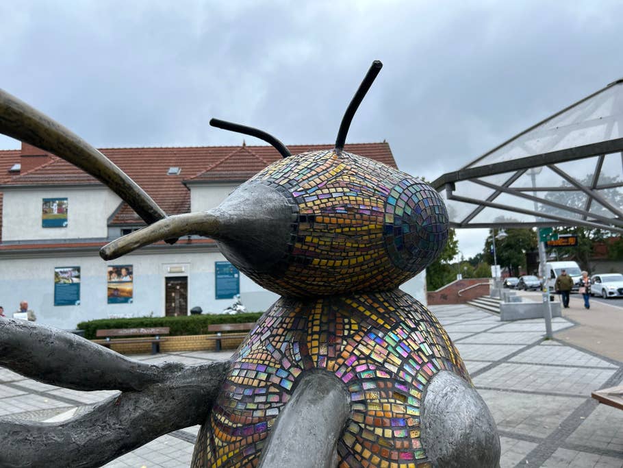 iPhone 14 test photo