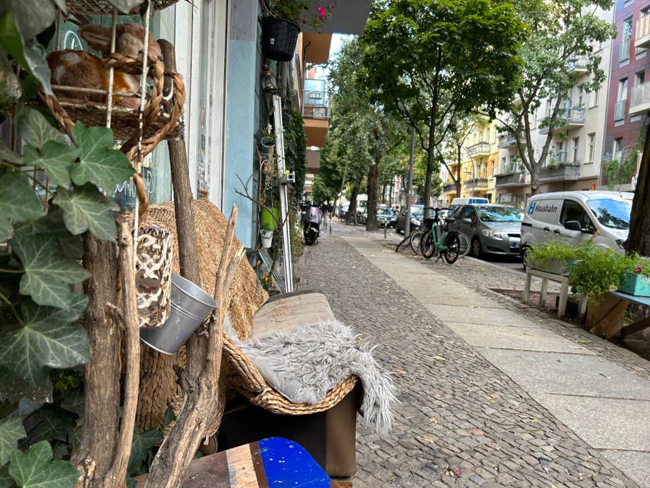 iPhone 14 test photo