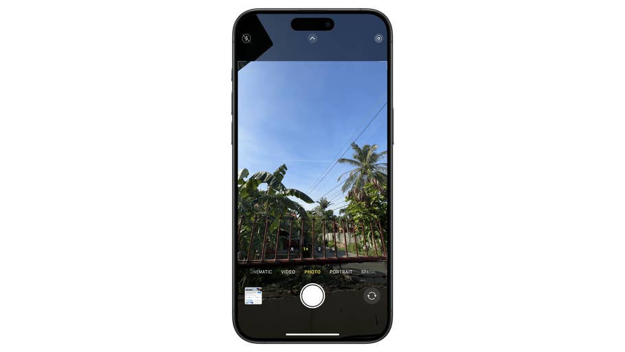 Interface de lu0027appareil photo de lu0027iPhone montrant une vue de palmiers et du0027un ciel bleu clair.